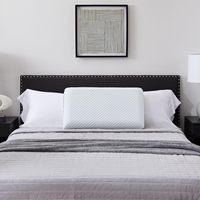 Vente en gros OEM Oreiller moderne en mousse à mémoire de forme pour le cou Soulagement de la douleur cervicale Style solide 200TC Accessoire de couchage