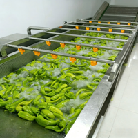 Industriële wasinstallatie voor het reinigen van fruit en groenten met hogedruksproeier/bellencombinatie voor groenteverwerkingsbedrijven