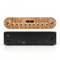 Système de musique vocale extérieur, amplificateur de puissance numérique professionnel, carte amplificateur audio AC220V DC12V pour haut-parleur