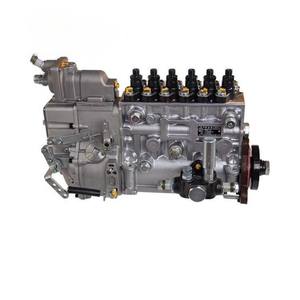 BH6P110 P10Z002 BP5676 100215197 Bomba de inyección de motor diésel de repuestos de cargador de China - Product Image 5