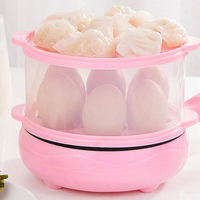 Cuiseur à œufs électrique automatique multifonctionnel, poêle antiadhésive 2 en 1, bouilloire à œufs, appareil à omelettes, couvercle transparent, 700W