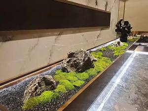 Pierres décoratives pour aquarium Étang à poissons Ornements écologiques pour bonsaïs <span class=keywords><strong>Jardin</strong></span> de roche miniature - Product Image 6