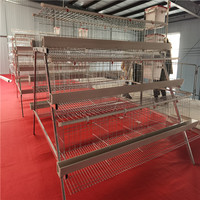 Nouvelle cage compacte pour poulets pondeuses en grillage métallique, gain de place et économie d'énergie pour élevages avicoles