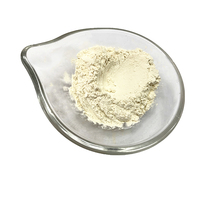 Poudre d'oignon blanc racine déshydratée et cuite en vrac, mouture 100 mesh