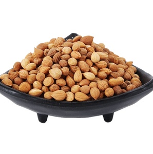 Yu li ren – buisson séché brut en vrac, plante chinoise, graine pelée, <span class=keywords><strong>Prunus</strong></span>, vente en ligne - Product Image 2