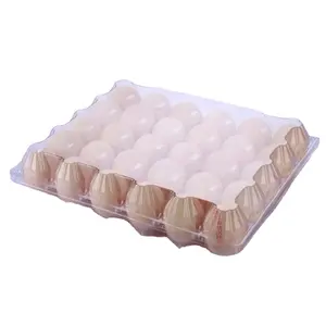 Hot Sale 15 Eggs Wgg Egg Tray Plastic For Small Type