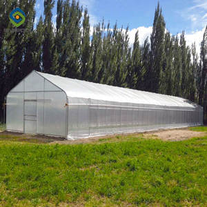 <span class=keywords><strong>Serre</strong></span> à film PE à portée unique avec cadre en acier galvanisé <span class=keywords><strong>Serre</strong></span> à petit tunnel économique pour l'agriculture des fleurs et des plantes - Product Image 1