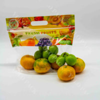 Sacs de conservation de produits frais ventilés transparents résistants, auto-scellants, avec fermeture à glissière debout, sacs d'emballage pour légumes et fruits