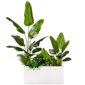 Jardinera Rectangular Grande de 36 Pulgadas con Plantas Tropicales Artificiales, Planta Artificial de Ave del Paraíso en Maceta para Decoración de Oficina o Patio - Product Image 5