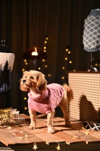 Pull en tricot luxueux et chaud pour animaux de compagnie, en poil de chameau, pour chats et chiens - Product Image 6