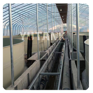 Yüksek kalite profesyonel RAS balık çiftliği yetiştiricilik ekipmanları Tilapia türler için PP tankları Tilapia tarım için - Product Image 3