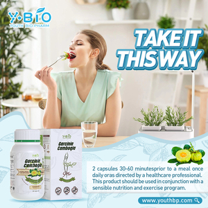 Hete producten Garcinia Cambogia capsules Energieopwekkende stofwisseling voor volwassenen die gezond gewichtsondersteuning zoeken Fabrieks prijs - Product Image 6