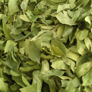 El más vendido Hojas de Laurel secas de origen turco 5-10cm Bahía Primer grado ISO Certificado Recogido a mano Especias individuales Hierbas 10kg Dibujos animados - Product Image 1