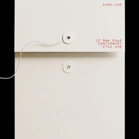 Pochette d'expédition minimaliste biodégradable avec logo personnalisé, porte-documents A4 avec fermeture à cordon, service d'impression OEM pour l'envoi postal