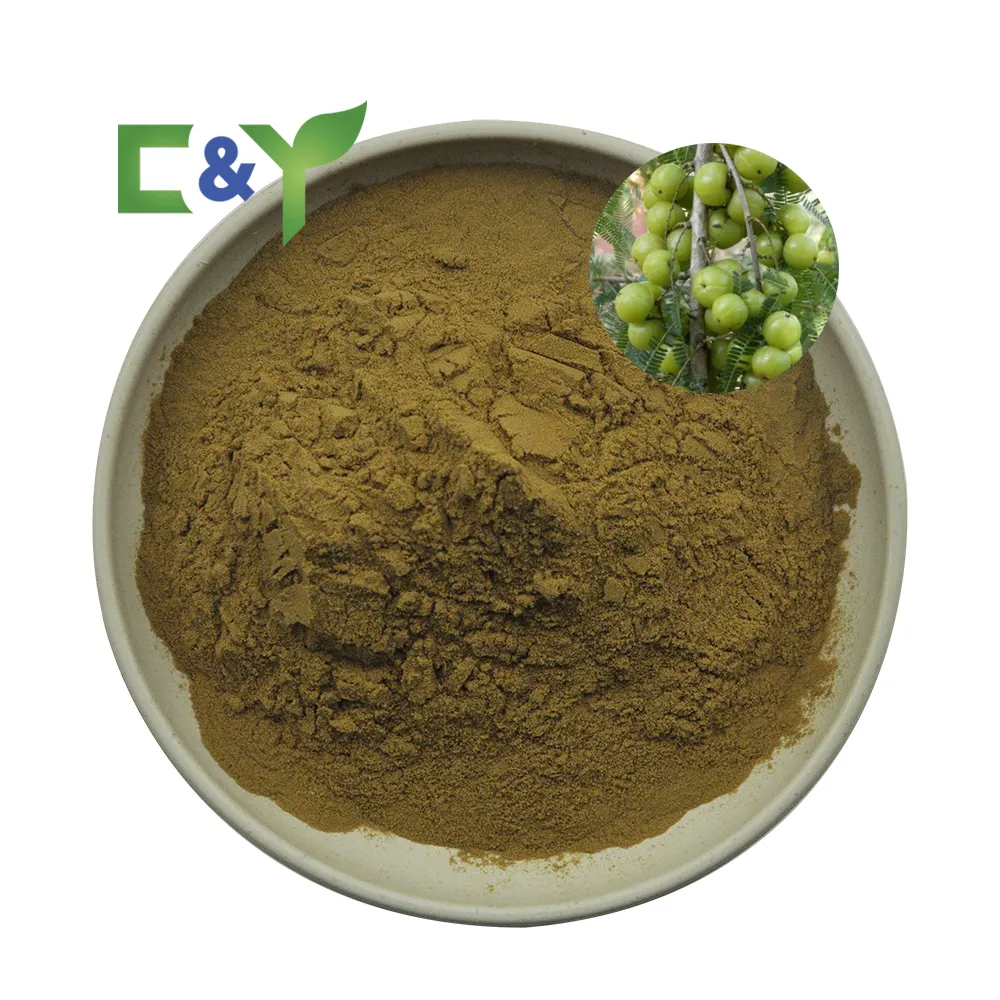 100% Pure phyllanthus emblica powder phyllanthus emblica extract phyllanthus emblica extract powder