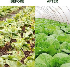 <span class=keywords><strong>Manta</strong></span> anticongelante agrícola de protección de plantas de polietileno para clima frío - Product Image 3