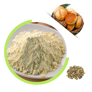 Specializzati in Polvere di Proteine di Canapa 60% |   Fornitura all'Ingrosso |   Servizi OEM e Private Label - Product Image 1