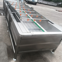YOUBAN Automatische 304 RVS Belletjeswasmachine Industriële Groente- en Fruitwasser voor Voedselverwerkingslijn