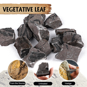 Fósiles de hojas de plantas antiguas Especímenes botánicos prehistóricos Feng Shui Cristal Navidad Pascua Año Nuevo Decoraciones Estudio - Product Image 2