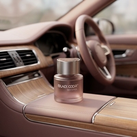 Diffuseur d'arômes pour voiture en bois, parfum d'ambiance longue durée, désodorisant pour l'intérieur du véhicule, marque BLACK ODOR
