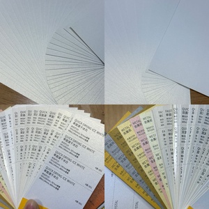 Papel Especial Blanco Hielo de 120 g/m², Papel Perlado con Relieve para Materiales de Tarjetas de Presentación - Product Image 2
