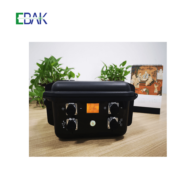 12v 24v 48v 80ah 100ah 120ah 150ah 200ah 300ah Portable Waterproof Lithium Battery LifePO4 Suitcase Battery Pack