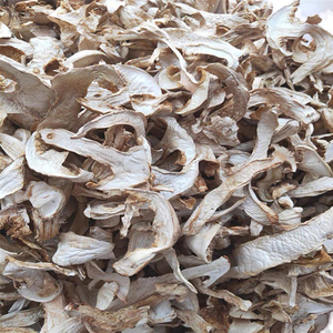 Personalizado Nueva marca <span class=keywords><strong>matsutake</strong></span> hongo <span class=keywords><strong>tricholoma</strong></span> <span class=keywords><strong>matsutake</strong></span> liofilizado <span class=keywords><strong>matsutake</strong></span> - Product Image 2