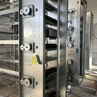 Système de cages vertical H entièrement automatique et galvanisé à chaud pour l'élevage de poules pondeuses en ferme avicole