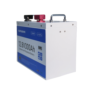 12V 300ah 12.8V 100AH pin Lithium ion Phosphate 20Ah 50Ah 200AH 250AH năng lượng mặt trời LiFePO4 24V 12.8V pin lithium với <span class=keywords><strong>BMS</strong></span> - Product Image 2