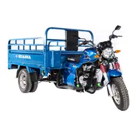 Hoge Kwaliteit Cargo Volwassen Driewieler Motorfiets Met China Fabricage