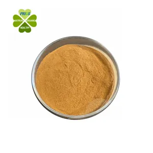 Instant Coffee Powder 10:1 Green Coffee Bean Extract Coffee Powder