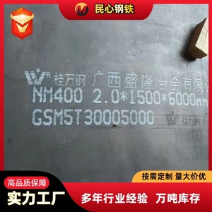 แผ่นเหล็กทนการสึกหรอ Puyang NM450 หนา 12.1 50 มม. บริการตัดสำหรับเครื่องจักรเหมืองแร่ - Product Image 3