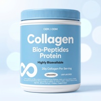 Poudre de protéines de collagène bio-peptides végétalienne sans gluten OEM avec créatine, antioxydants, soutien immunitaire et gestion de l'énergie pour adultes