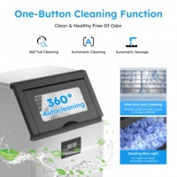 Machine à glaçons BLG au prix le plus bas, 60 kg, acier inoxydable, machine à glaçons commerciale pour bars et restaurants, 220V60HZ