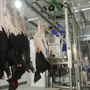 Ritual Cattle Cow Schlachthof Schlacht ausrüstung für Rindfleisch Halal Turnkey Slaughter House