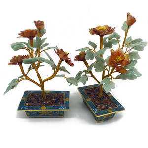 Plante en <span class=keywords><strong>jade</strong></span> <span class=keywords><strong>de</strong></span> grande taille, raisin - Product Image 1