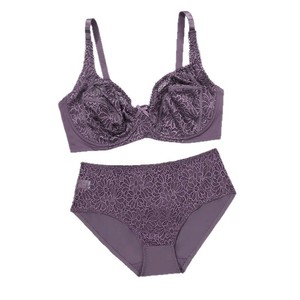 Ensemble de lingerie sexy grande taille en dentelle pour femme, soutien-gorge et culotte, vente en gros personnalisée pour dropshipping 2026 - Product Image 5
