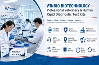 Kit de test rapide de l'antigène du parvovirus canin CPV Ag, cassette de test du parvovirus canin, diagnostic vétérinaire pour clinique vétérinaire et usage domestique