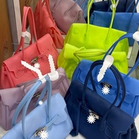 Sac fourre-tout transparent en PVC imperméable en forme de coussin – Idéal pour la plage, les voyages, le travail et le shopping