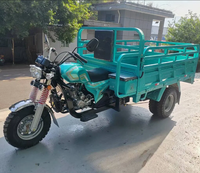 Tricycle de fret motorisé à essence