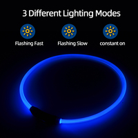 Mode LED collier de chien collier solide brillant nouveau collier de sécurité pour animaux de compagnie avec USB rechargeable Style simple en plastique