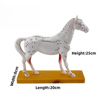 Modèle d'anatomie animale pour acupuncture : Chat, Vache, Cheval, Chien, Porc - Modèle d'anatomie du squelette animal pour la science médicale