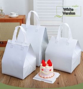 Fashionable Insulated Cooler Bag Waterproof Non-woven Fashion Cooler Bag Picnic Cooler Delivery Bag - Product Image 2