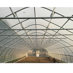 Conteneur de culture de champignons, film agricole thaïlandais, projet clé en main <span class=keywords><strong>à</strong></span> portée unique, construction rapide, serre pour l'agriculture - Product Image 1