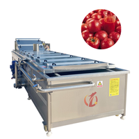 Qiangda Fruit En Groente Schoonmaken En Blancheren Verwerkingslijn Van Commerciële Blancheermachine