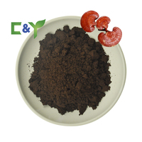 Échantillon OEM disponible poudre de spores cassées de coquille de champignon Reishi poudre d'extrait de champignon Reishi poudre de champignon Reishi