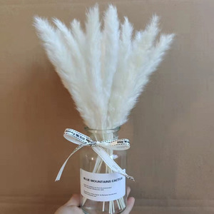 Offre Spéciale <span class=keywords><strong>vase</strong></span> en <span class=keywords><strong>verre</strong></span> naturel herbe de <span class=keywords><strong>pampa</strong></span> sèche ensemble cadeau préservée petite herbe de <span class=keywords><strong>pampa</strong></span> séchée blanche avec boîte de <span class=keywords><strong>vase</strong></span> en <span class=keywords><strong>verre</strong></span> - Product Image 2