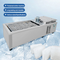 Machine à glace commerciale en brique Sortie quotidienne 500 KG 1 fabricant de poids de bloc de glace