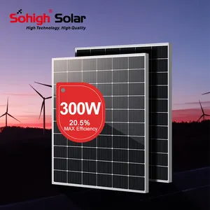 Kit de panneaux solaires flexibles 30 W avec onduleur 220 W