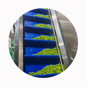 Prezzo all'ingrosso SHARP DRAGON Fagioli <span class=keywords><strong>Edamame</strong></span> Freschi IQF Intero a Striscia Lunga Taiwan Grado A 75, Scadenza 2 Anni - Product Image 5